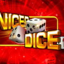 Nicer Dice 100